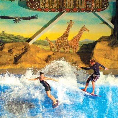 مزدوجة آلة / أعزب Flowrider ركوب المياه الزرقاء الملونة التزلج محاكي مع الألياف الزجاجية المواد
