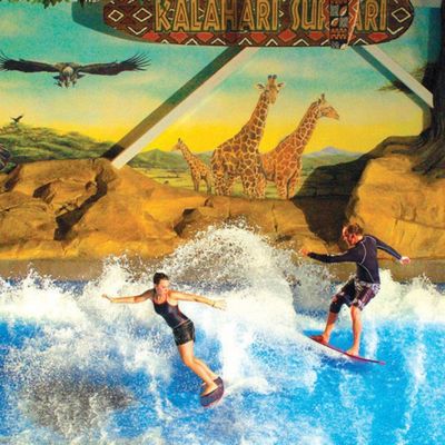 جهاز محاكاة ركوب الأمواج من نوع OEM Flowrider مع مضخة مياه 65kw و PVC قوي ناعم للحدائق المائية 15.3m * 9.3m