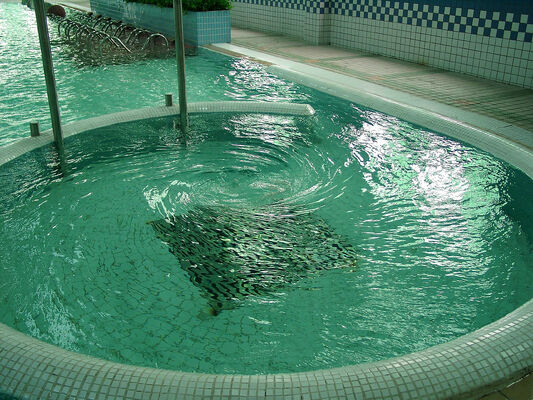 معدات العلاج المائي SPA المقاومة للتآكل مع هيكل الفولاذ المسبوق بالحر ونظام التحكم الذكي